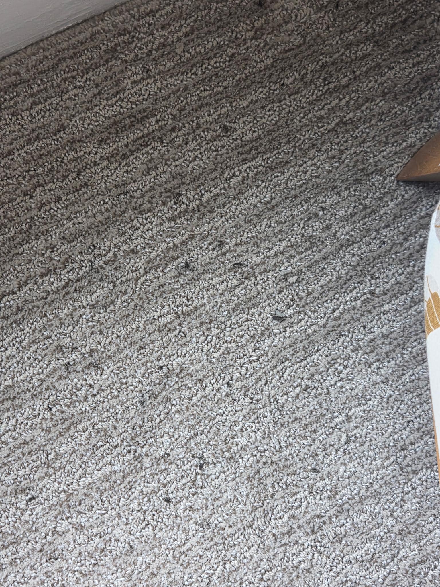 Bug debris