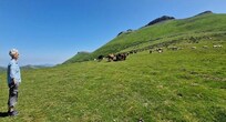 Col d'Arnostéguy