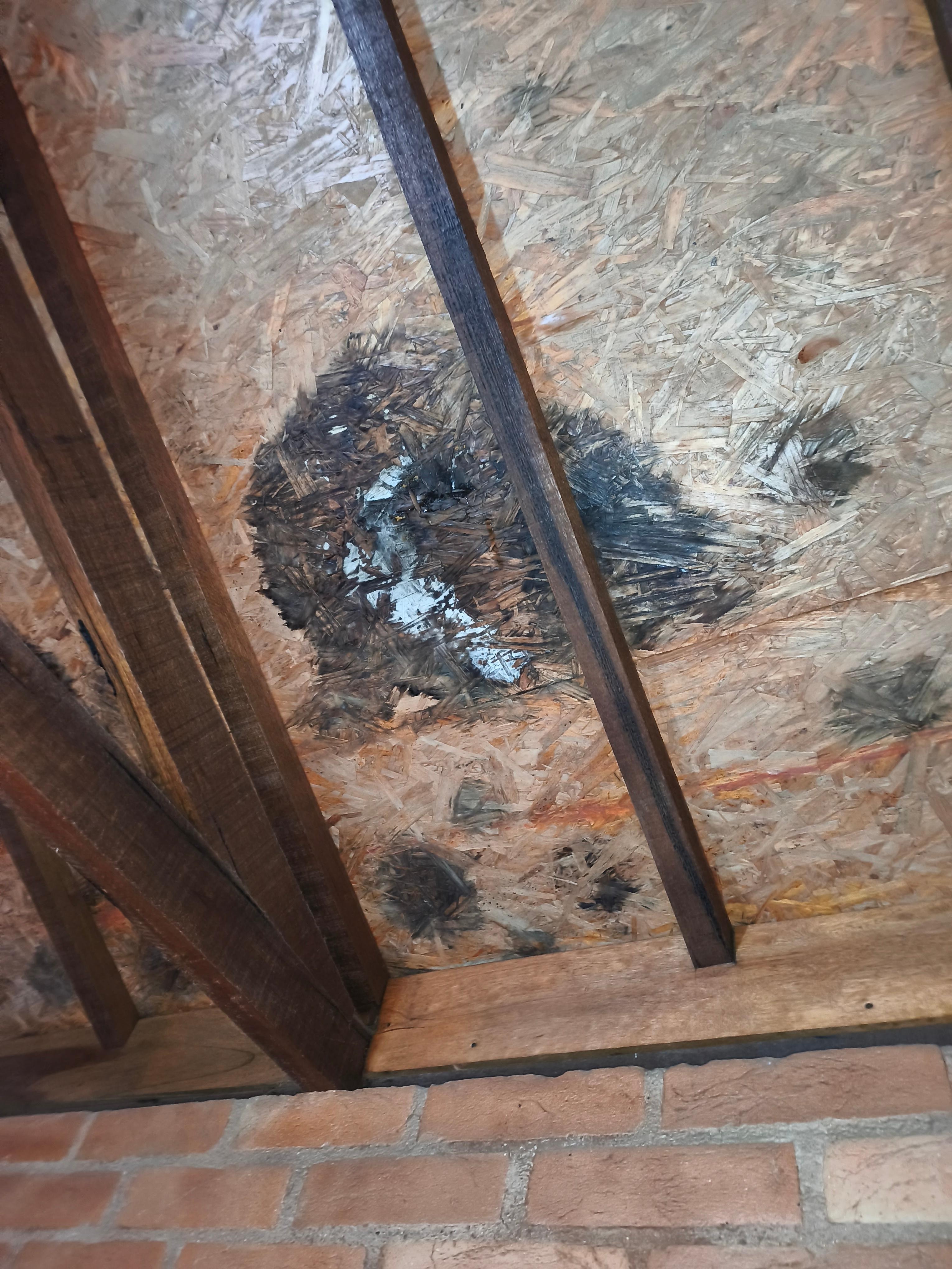 Goteiras no teto quando chove vários pontos