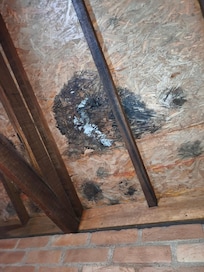 Goteiras no teto quando chove vários pontos