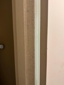 Mold on closet door mounding