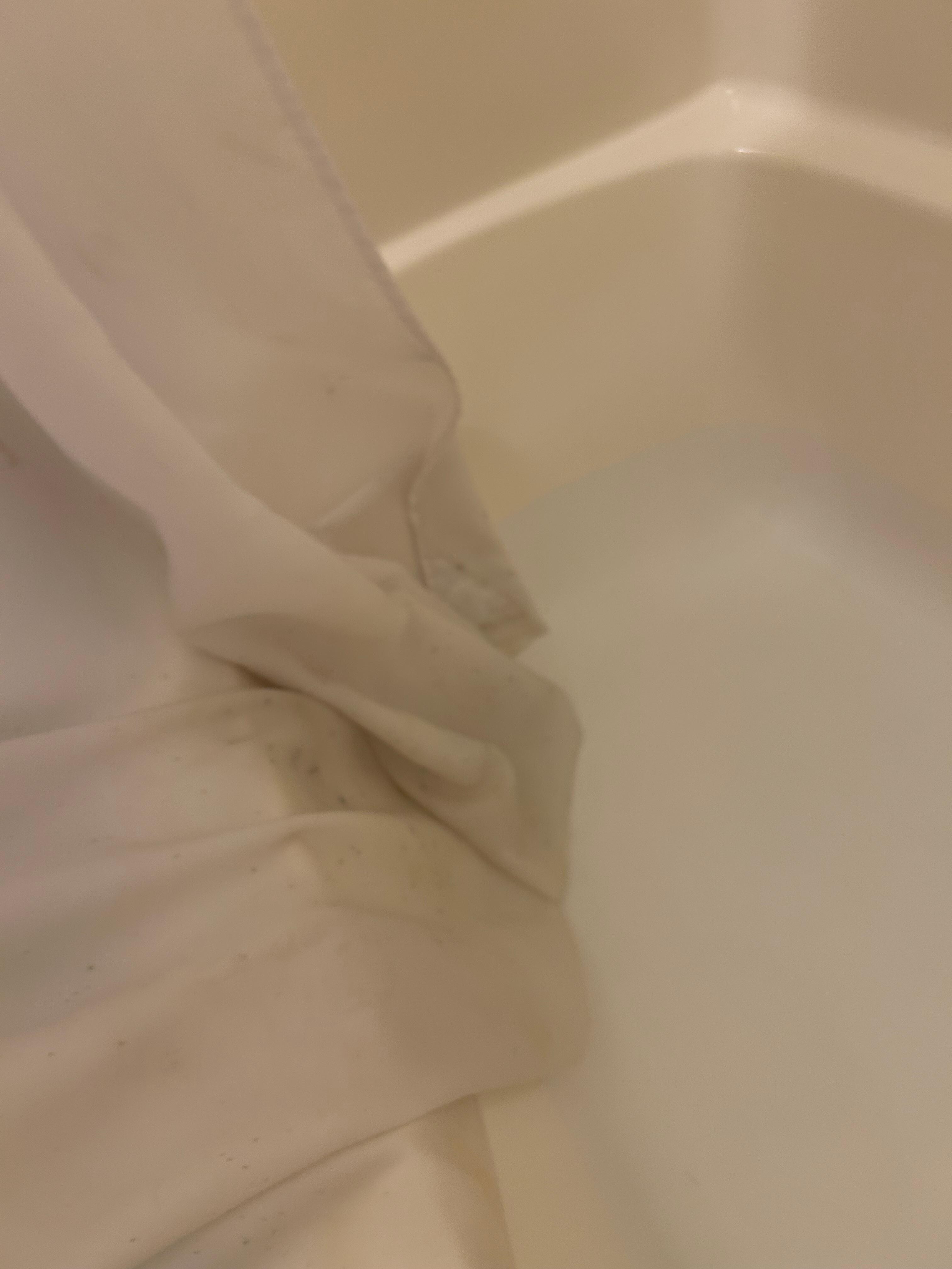 Moldy shower curtain 
