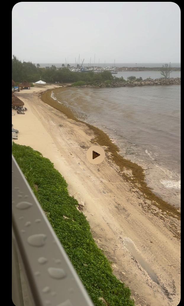 Ugliest beach in Mexico