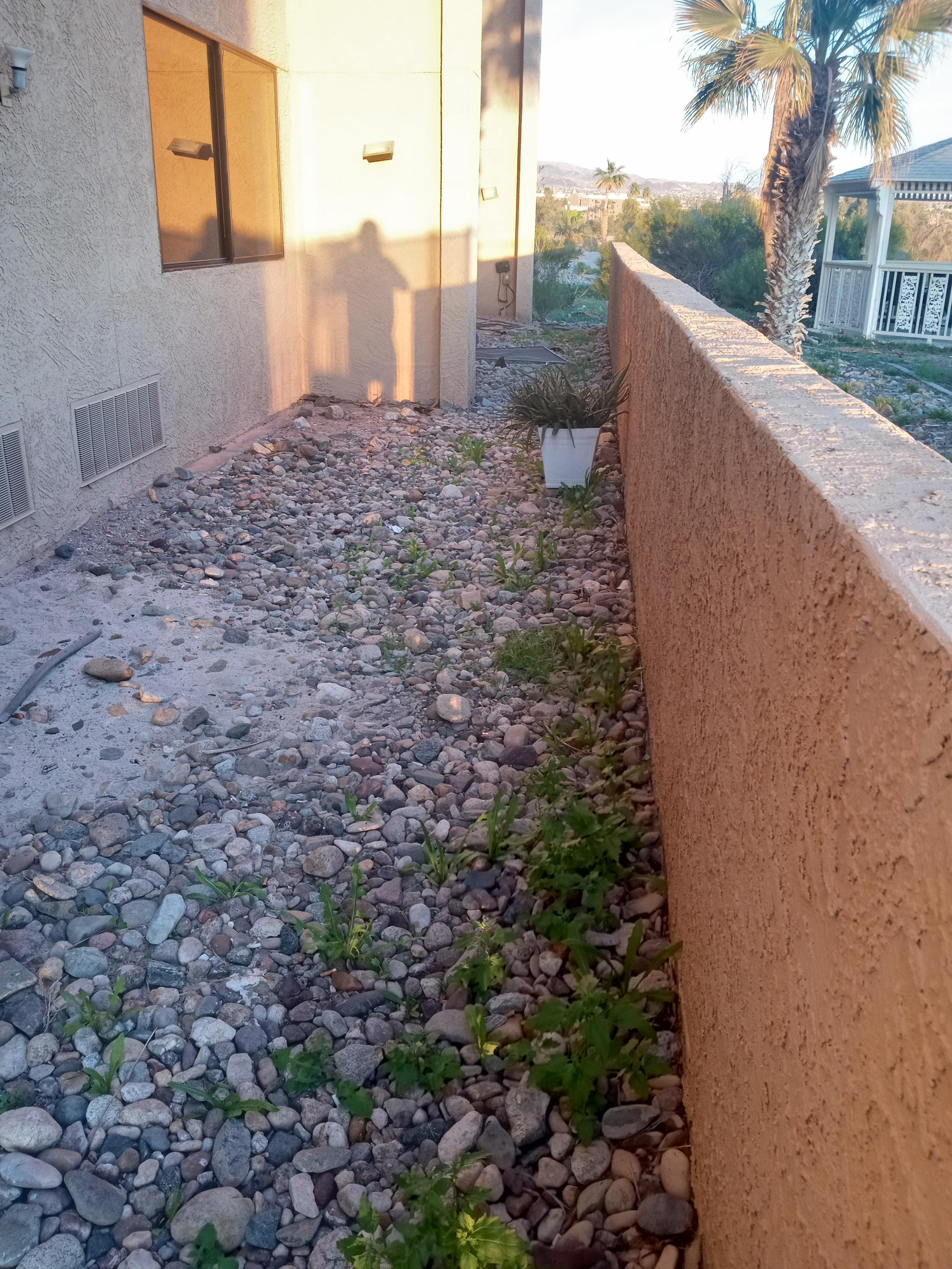 More cigarette butts then rocks 