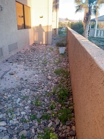 More cigarette butts then rocks