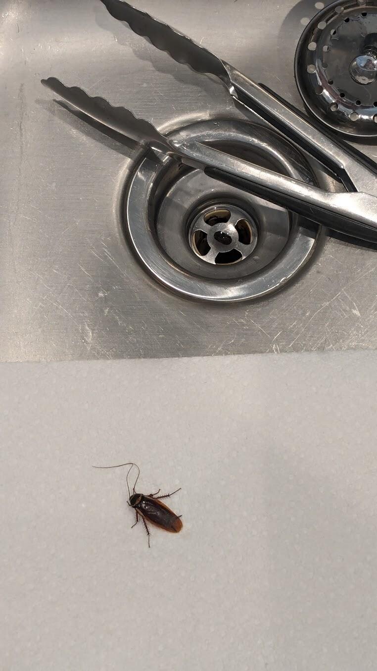 kitchen sink