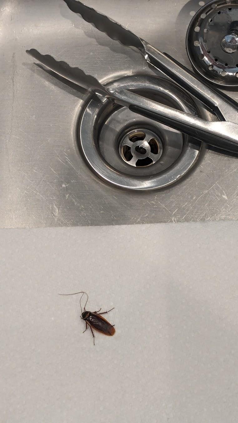 kitchen sink
