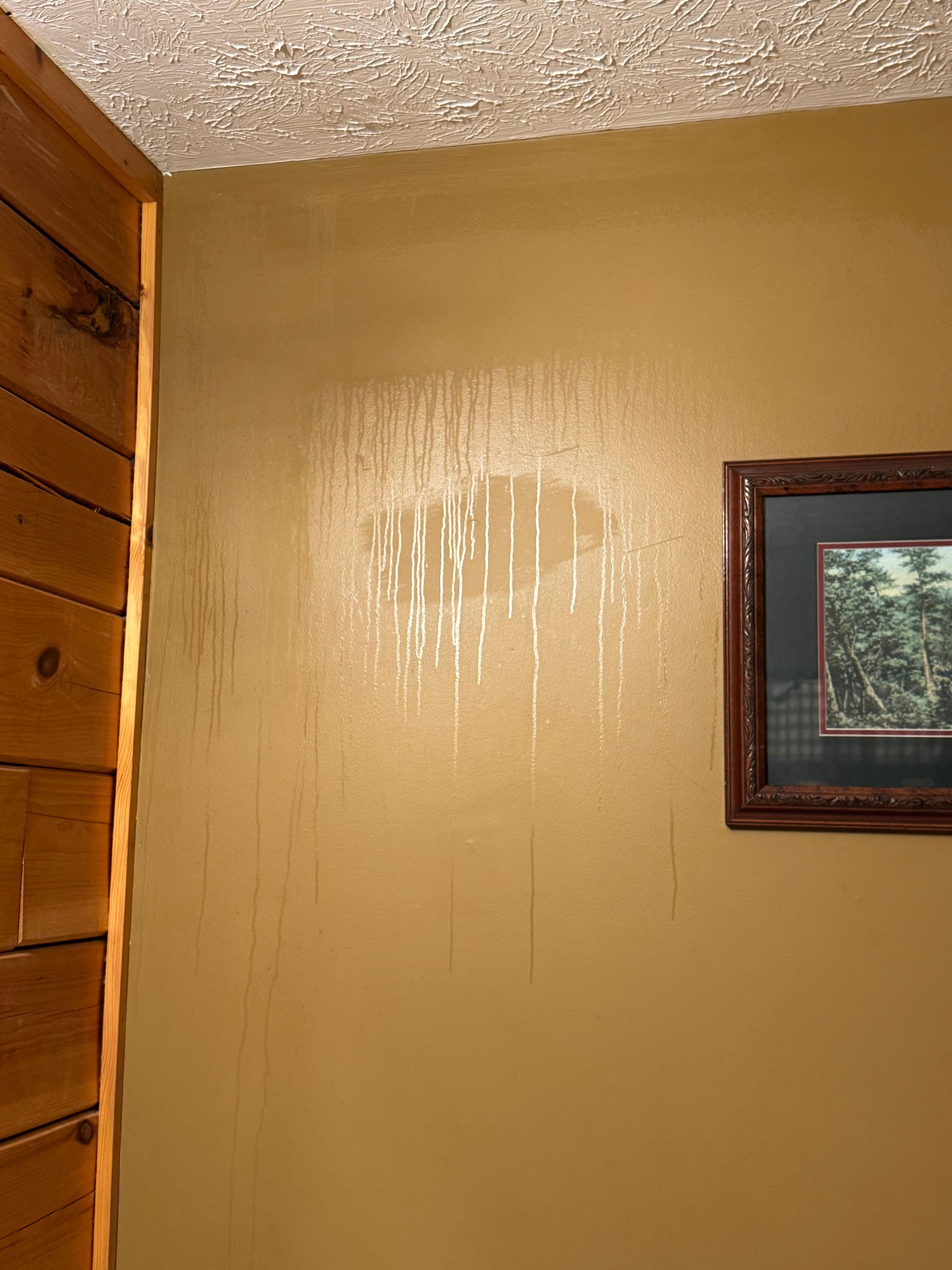 Master Bathroom wall