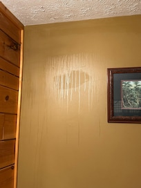 Master Bathroom wall