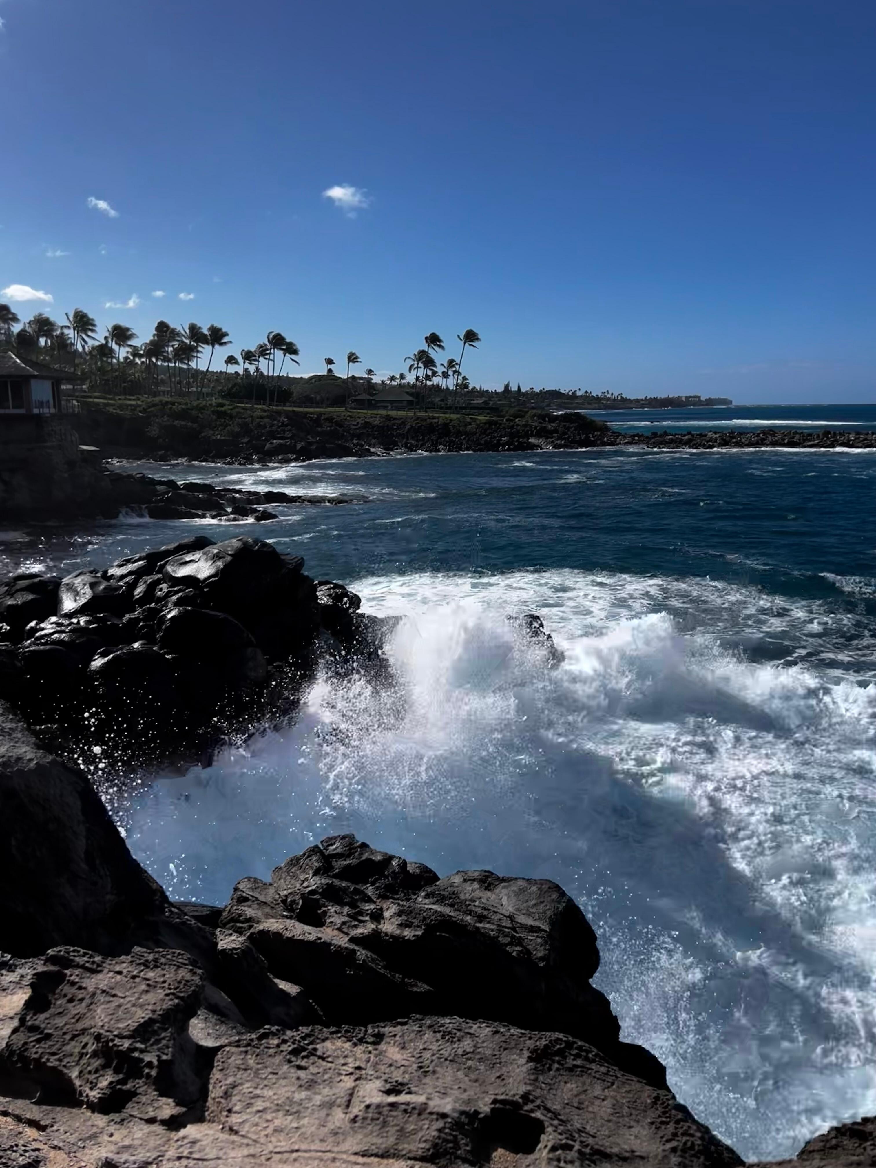 Hike steps from the villa.