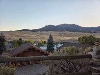 View from the patio