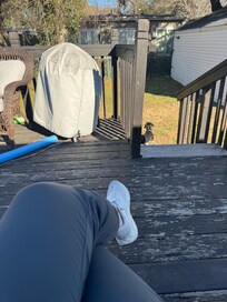 Nice fenced backyard