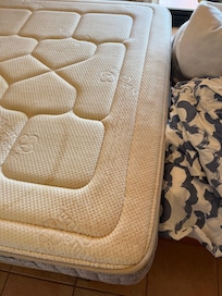 Badly stained mattress with evidence of insect infestation