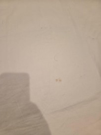 Dirty sheets