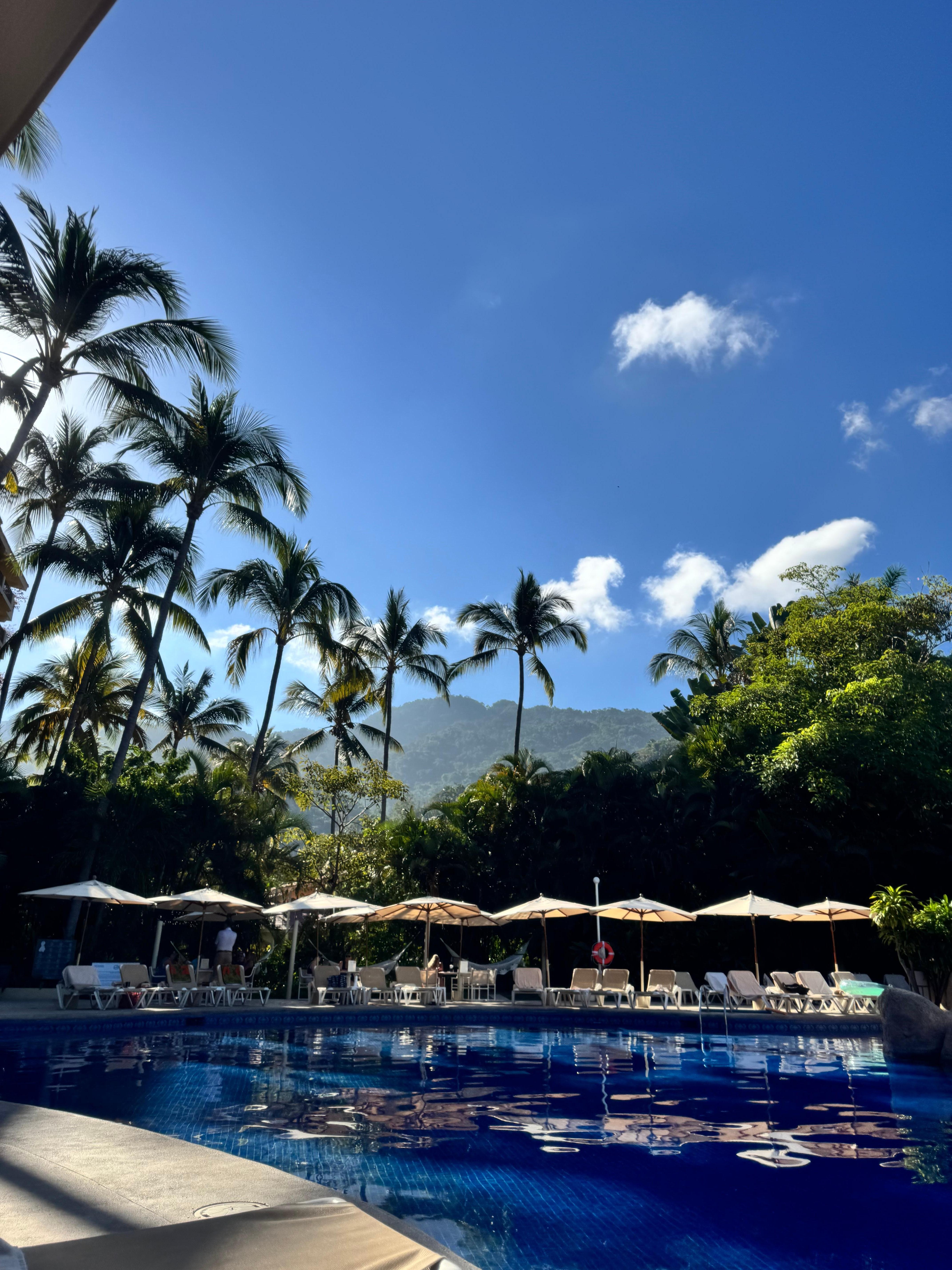 Pool area (Adult Pool)