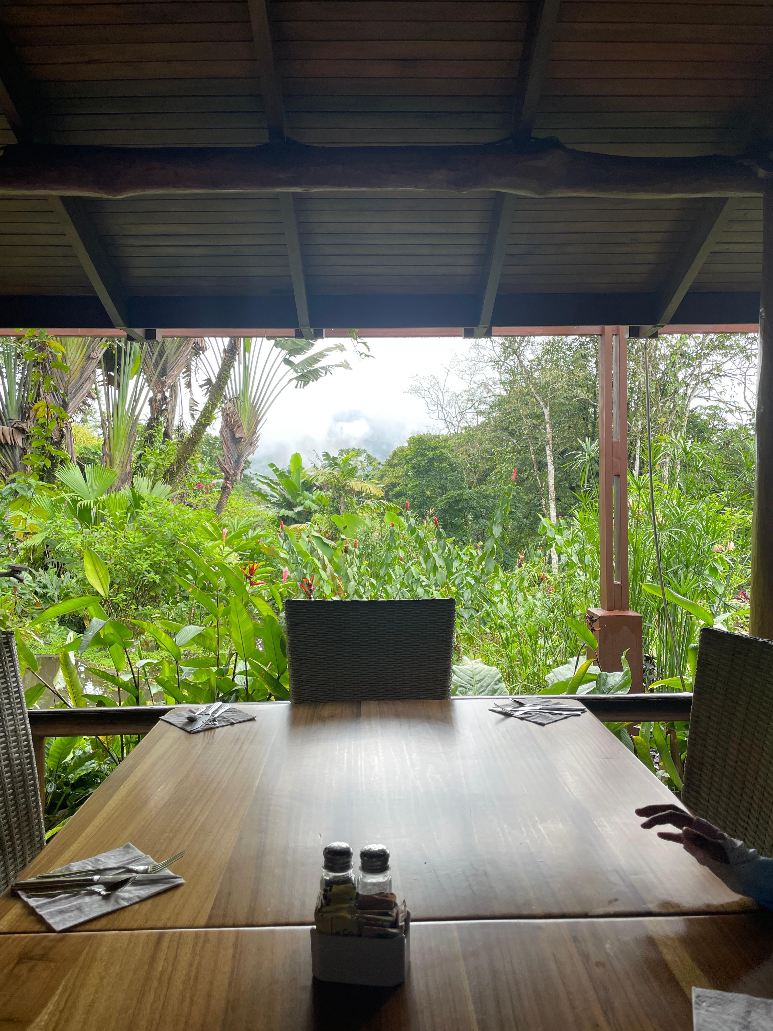 Table and view at Lost Iguana for breakfast 