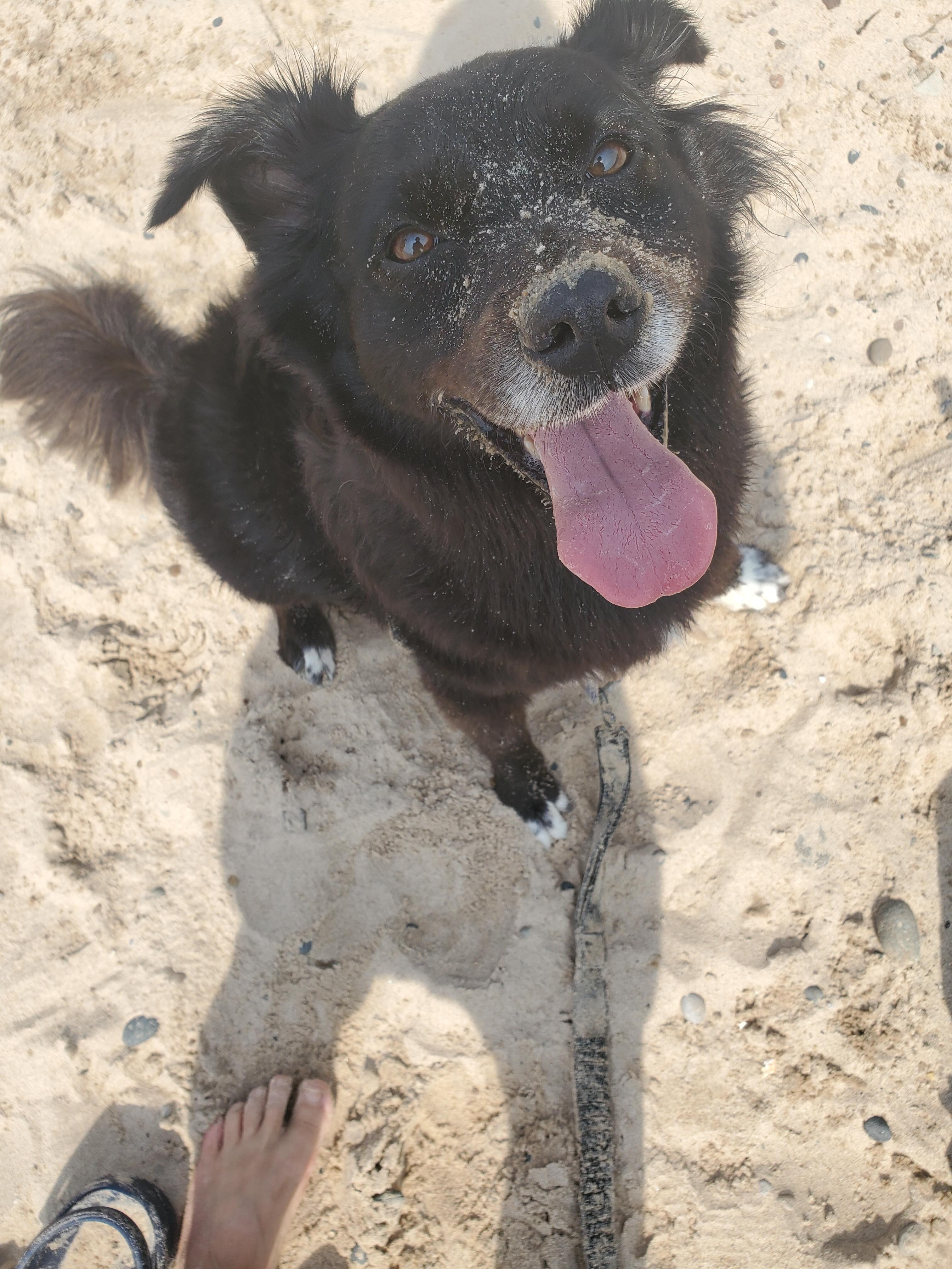 Indiana dunes and Luna
