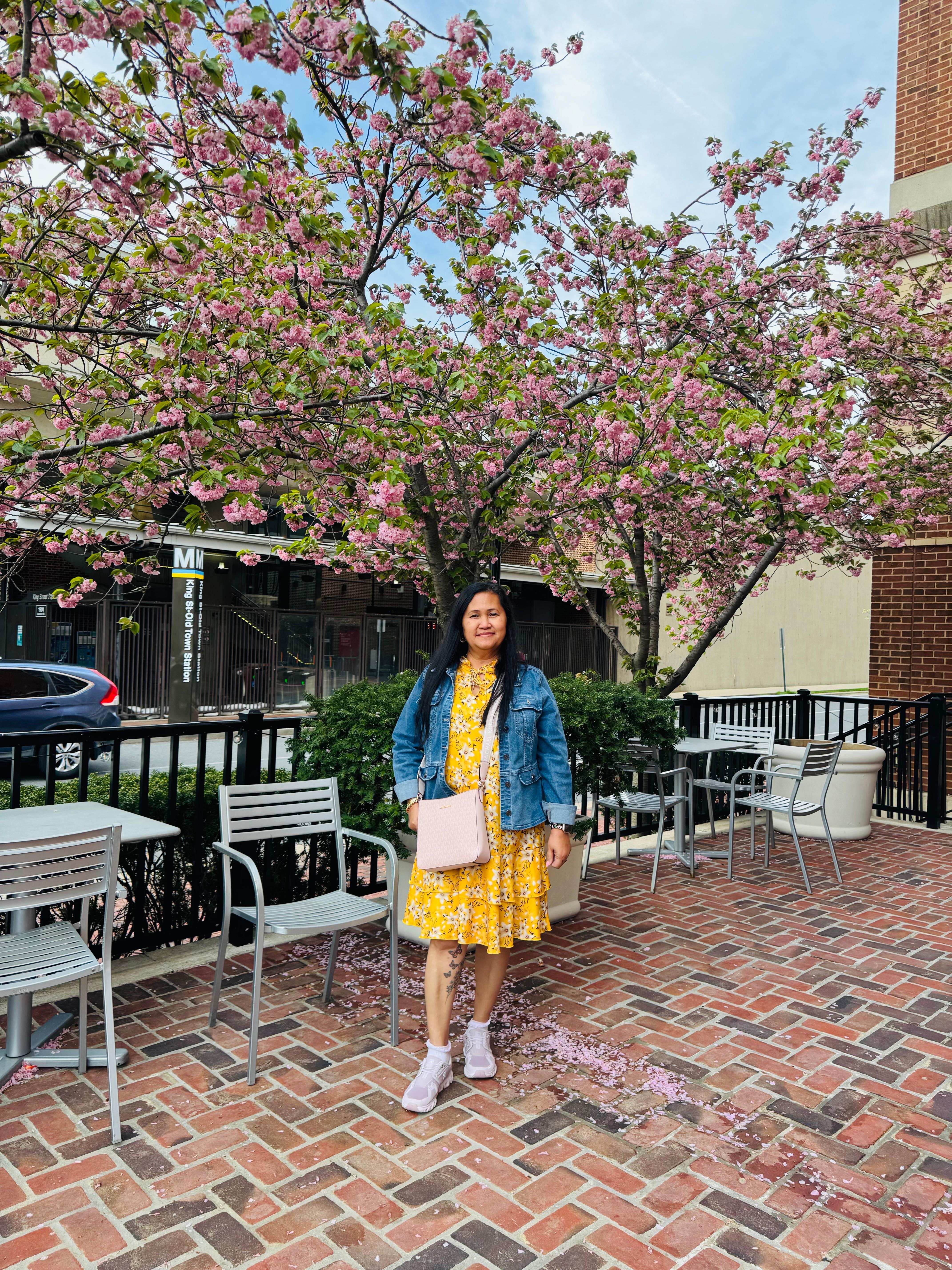 At the patio admiring the beautiful cherry blossoms.
