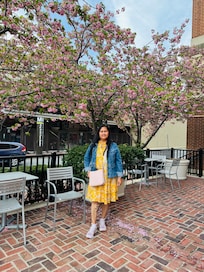 At the patio admiring the beautiful cherry blossoms.