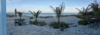 View from the patio