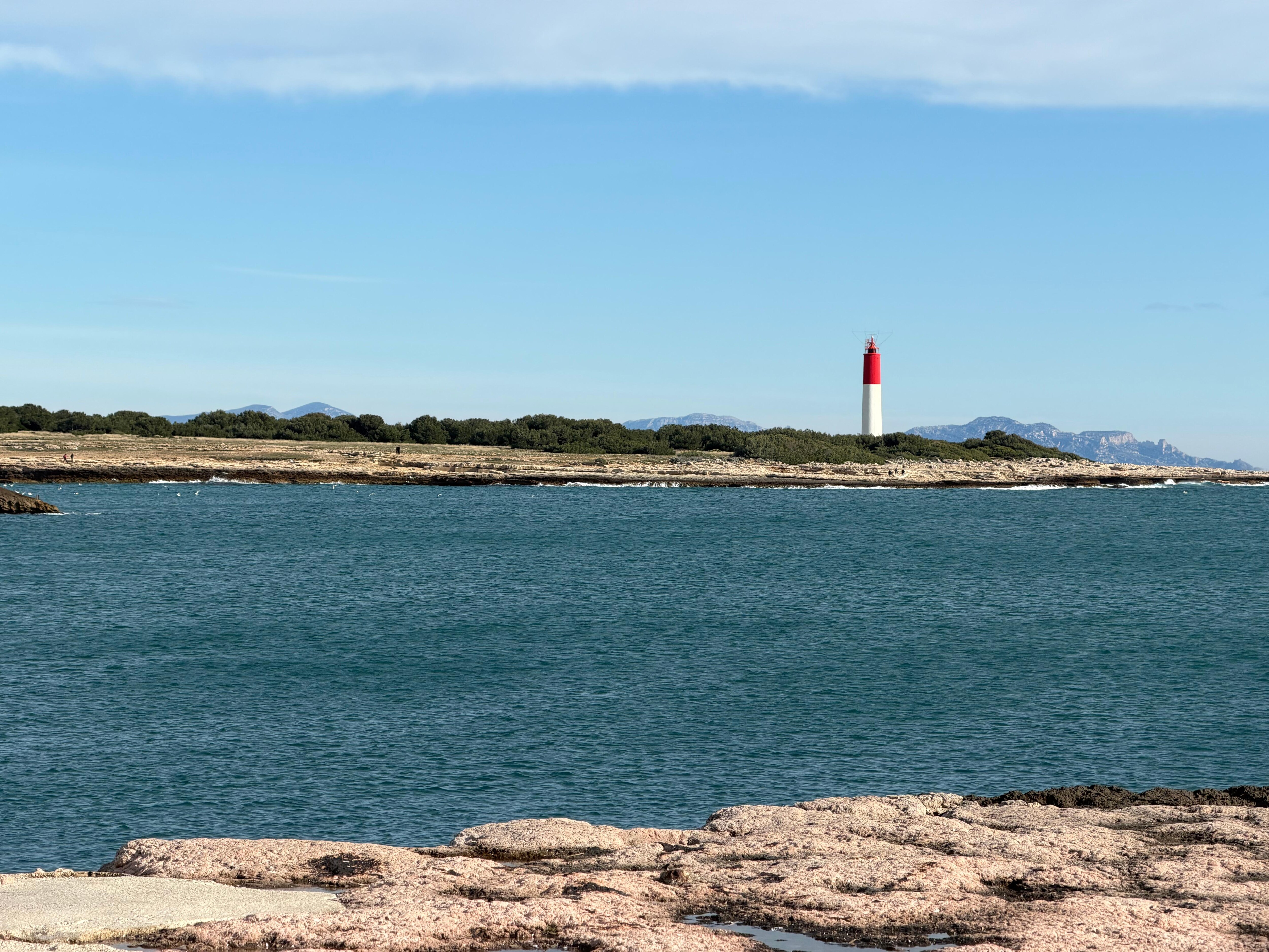 View from the patio. 