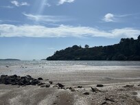 Shelley Beach, Coromandel