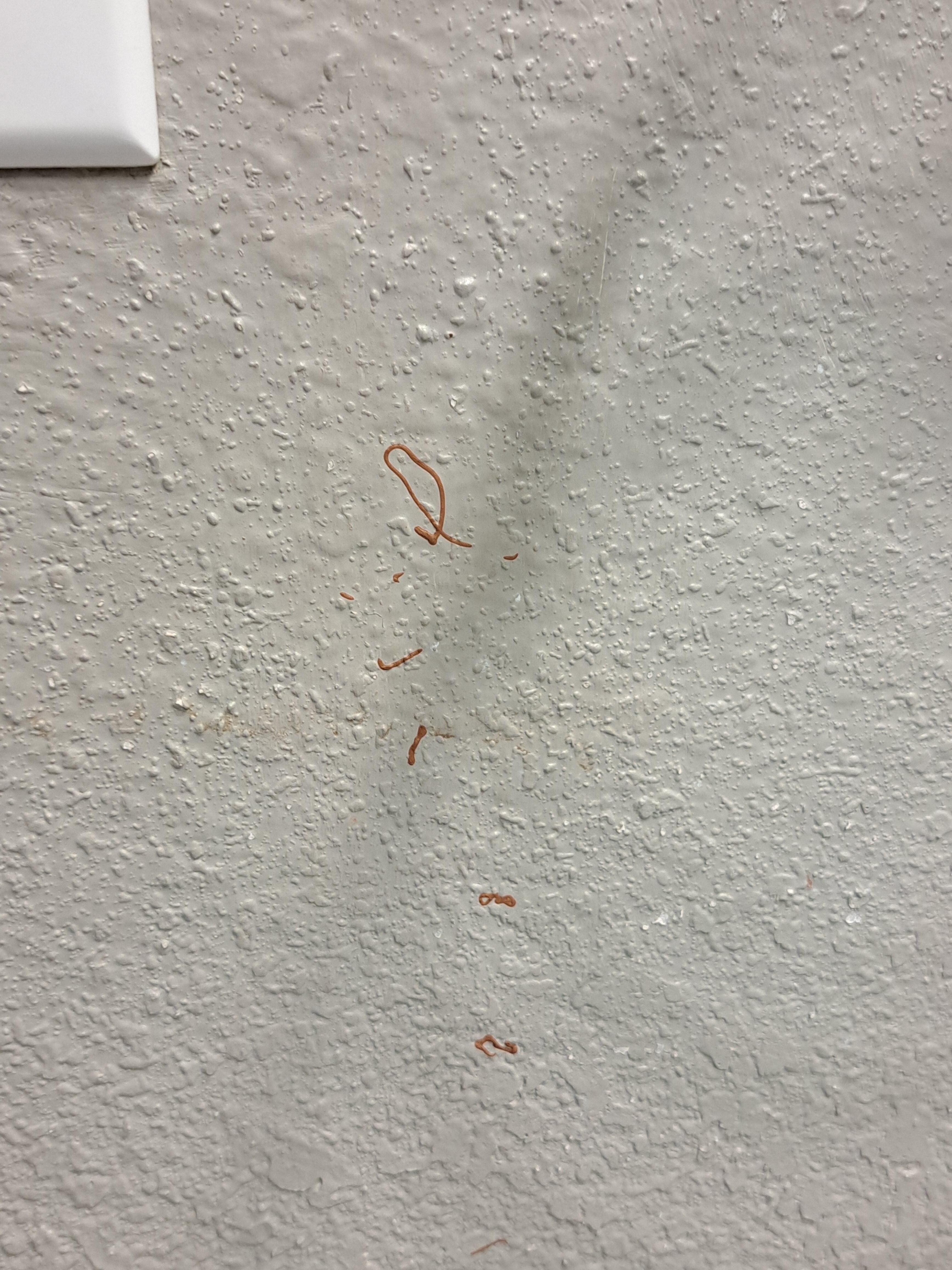 Someone drew on the wall in the 2nd bathroom