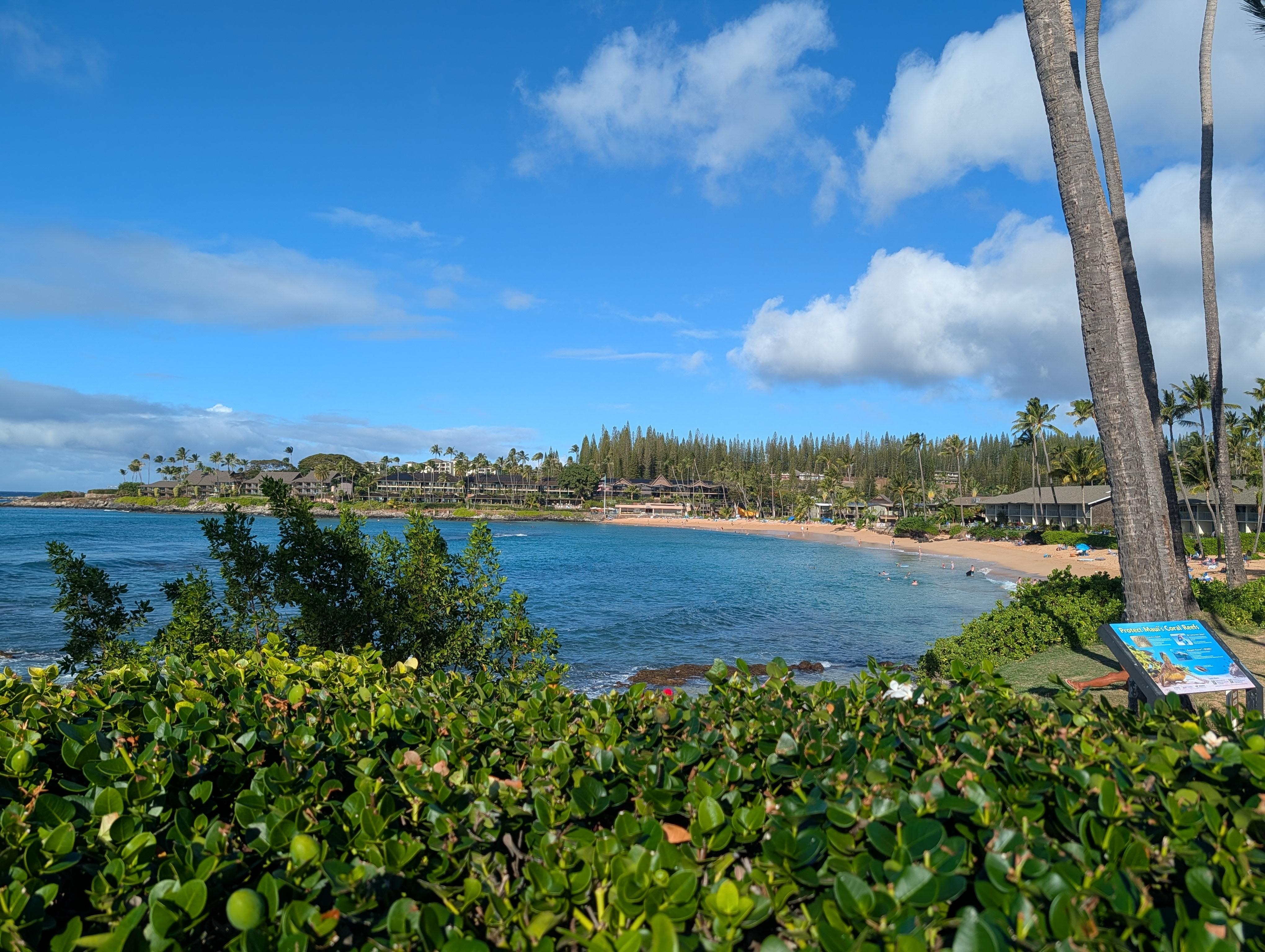 View, over the hedge, of Napili Bay