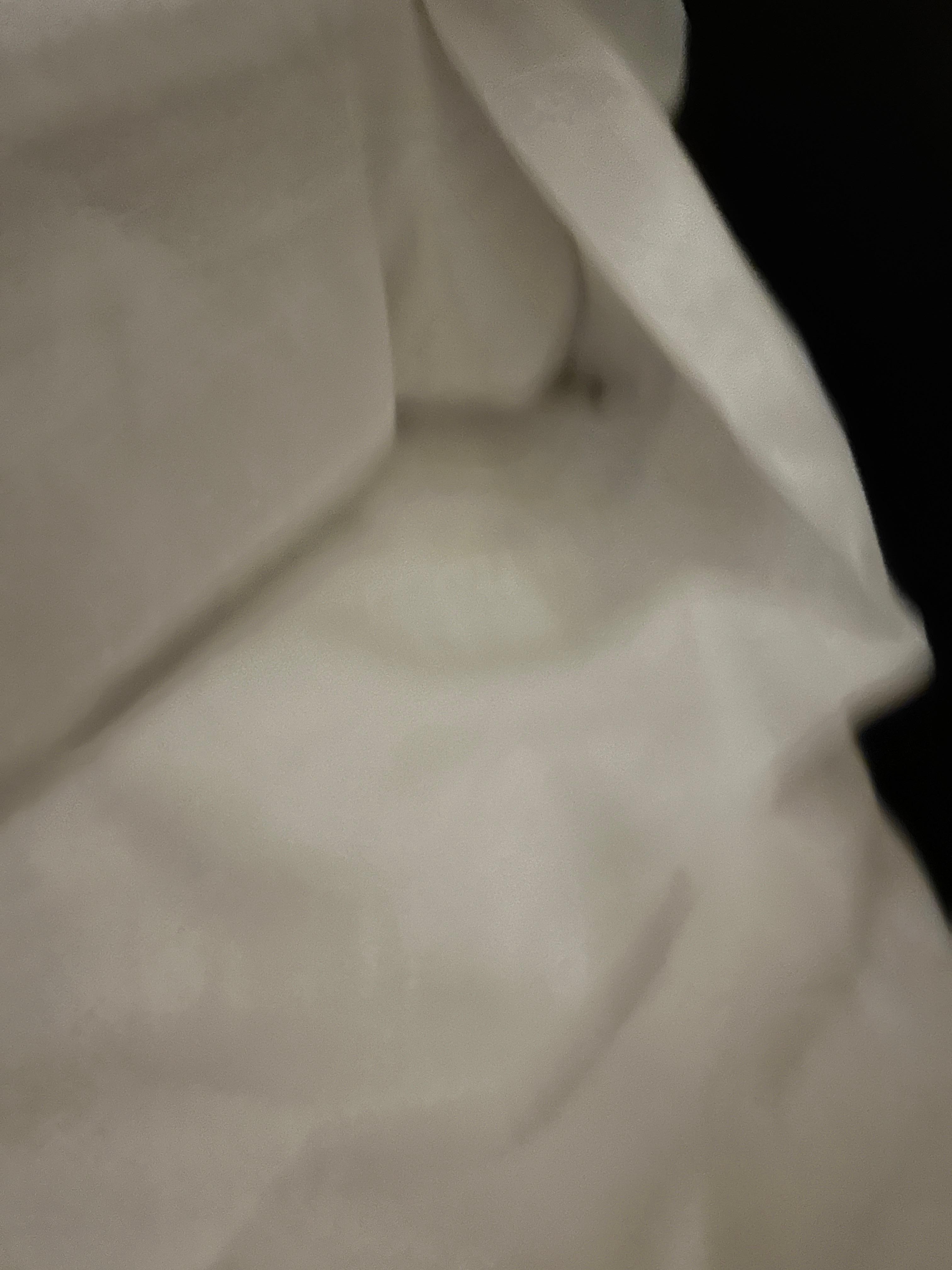 Bed bugs in pillow cases 