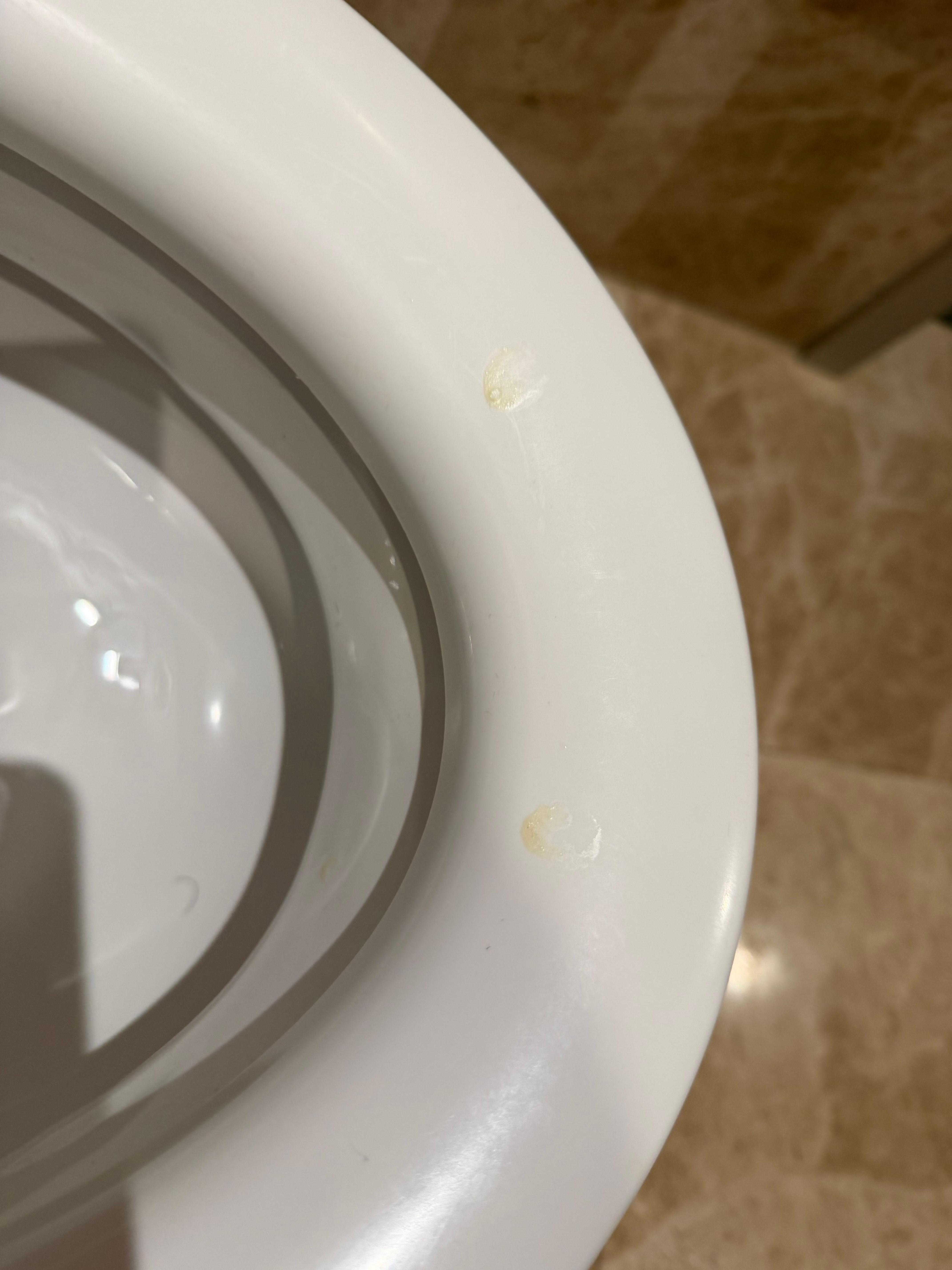 入った時からトイレはこの状態。結局自分で清掃した