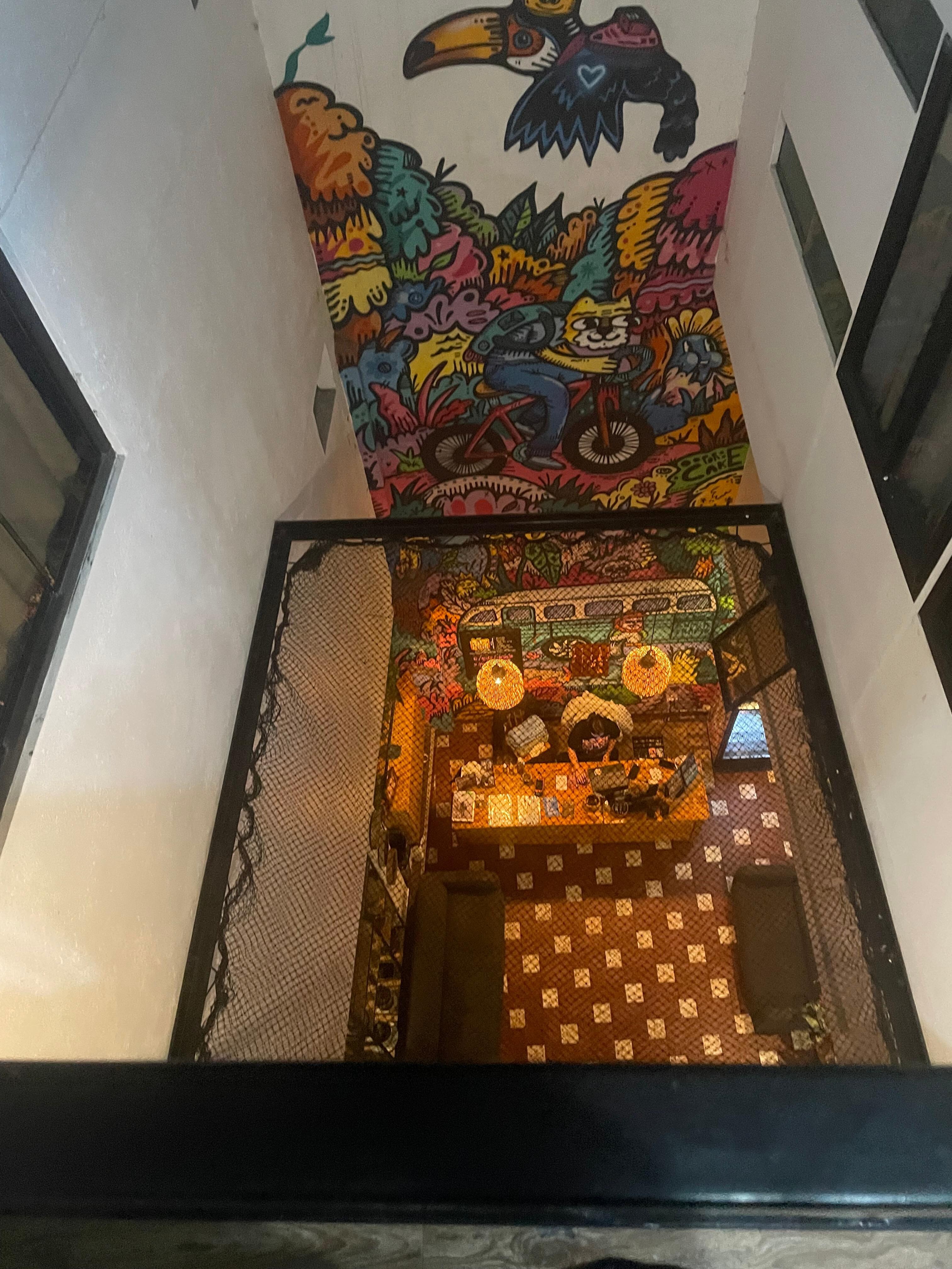 This net which people seem to jump on. 