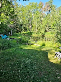 The view from the cabin to the pond.