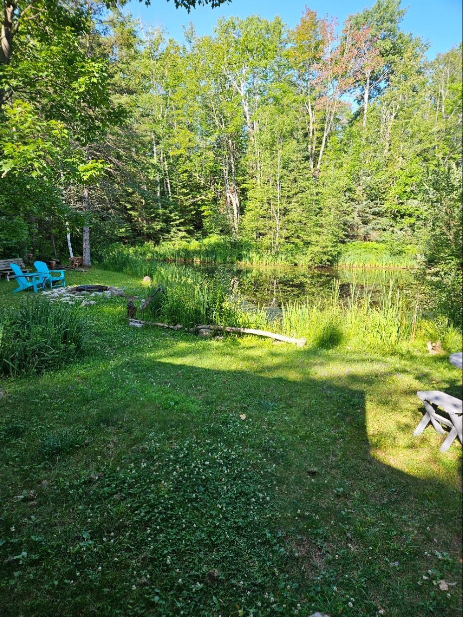 The view from the cabin to the pond.