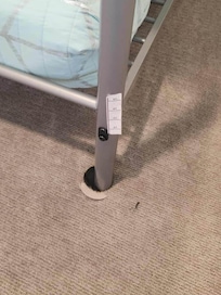 sticker on bed frame and gross carpet