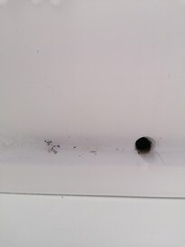 Mildew in fridge