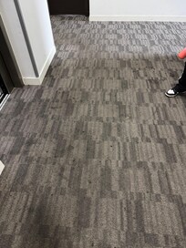 Carpet
