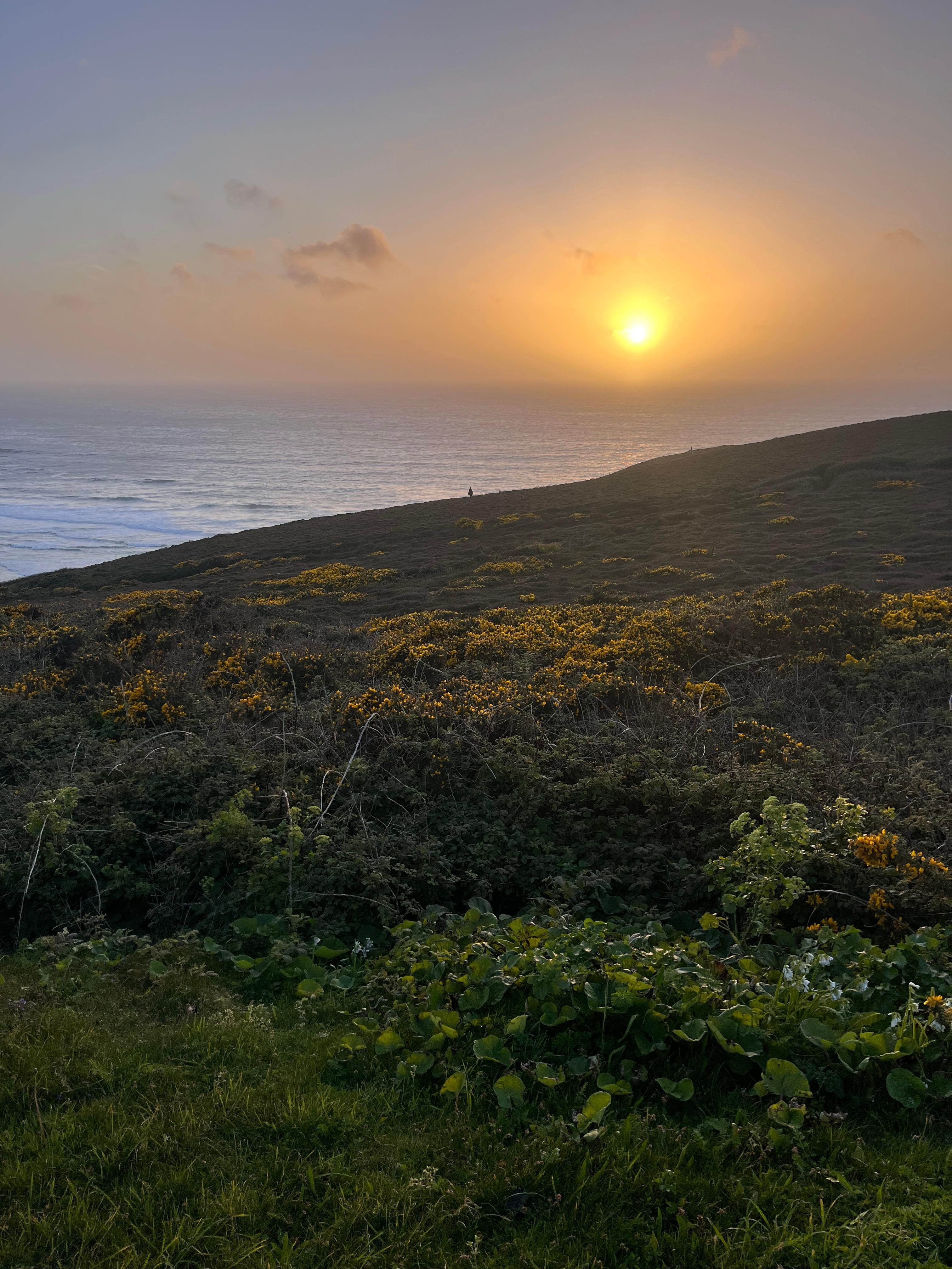 Headland