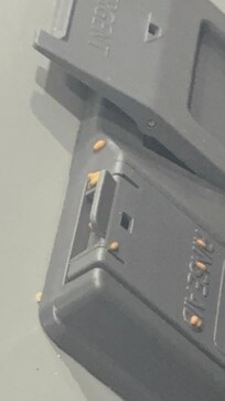 Maggots in dishwasher