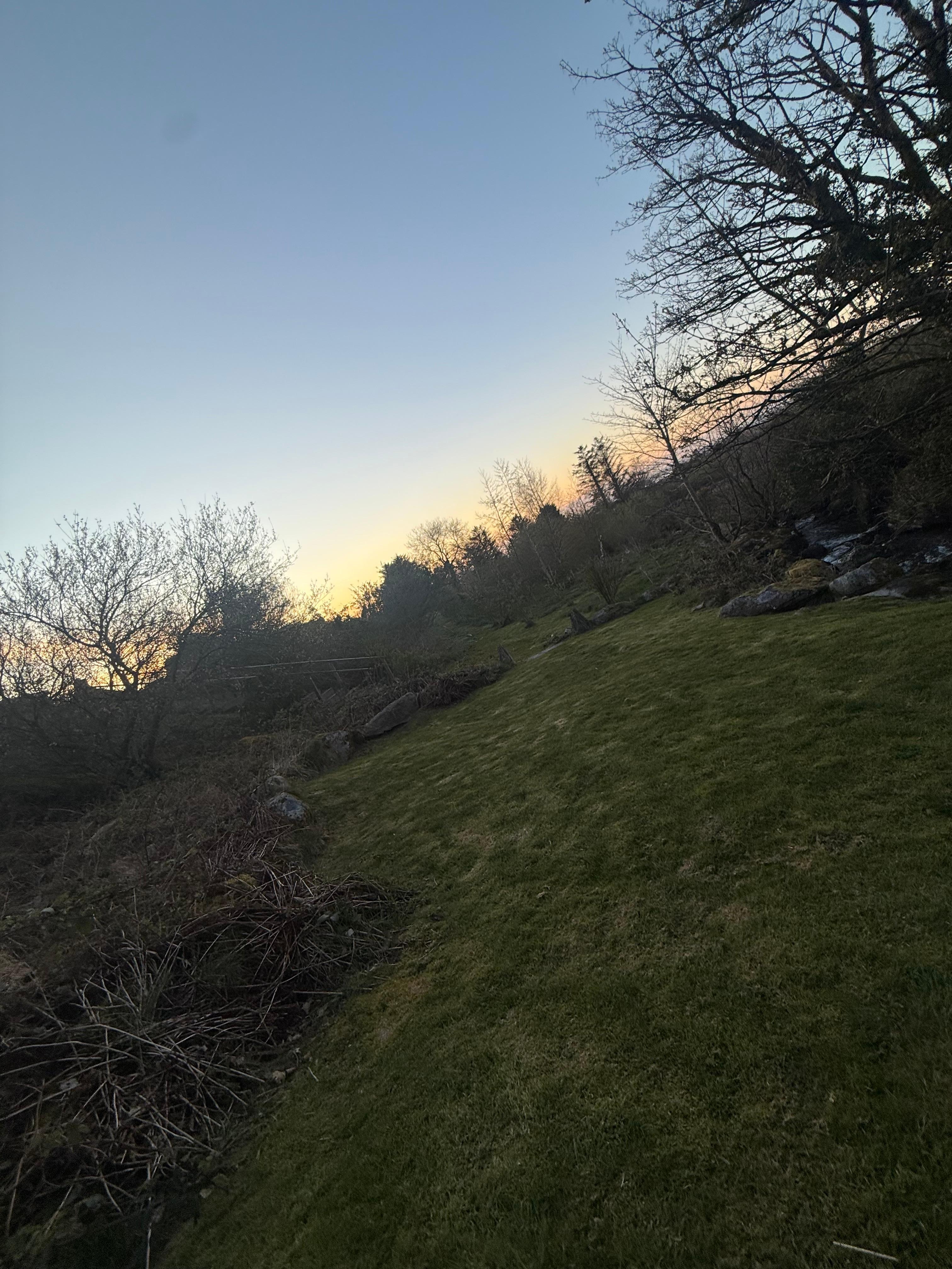 Back garden 