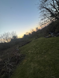 Back garden