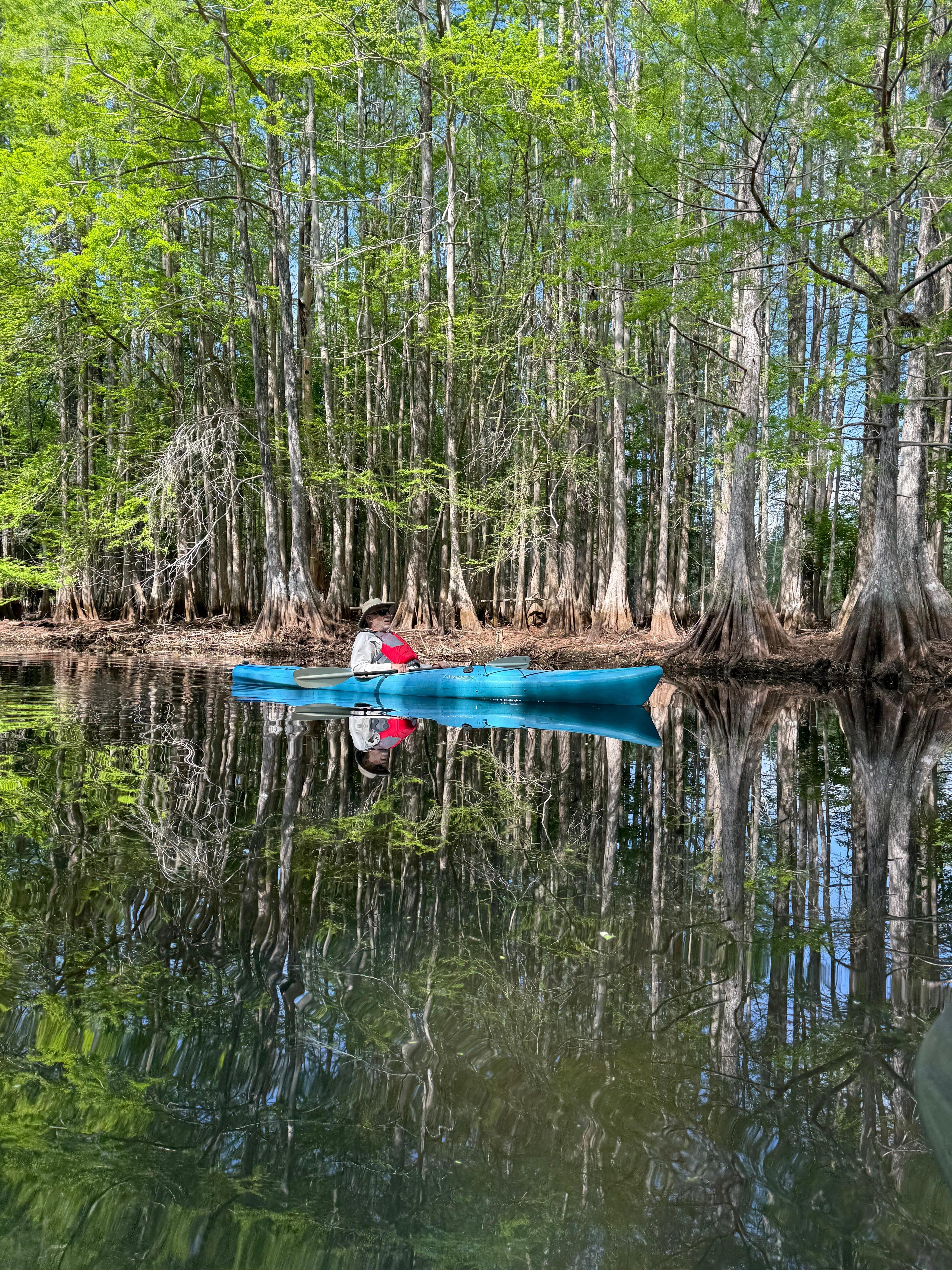 An outing up a channel off the lake. Beautiful reflections. 