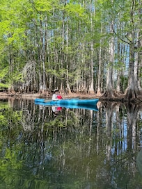 An outing up a channel off the lake. Beautiful reflections.