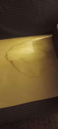 Stain under sofa cushion.