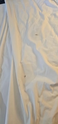 Dirty bedding