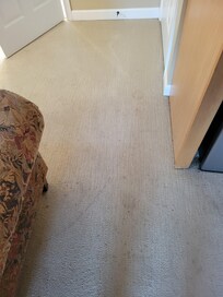 Dirty carpet