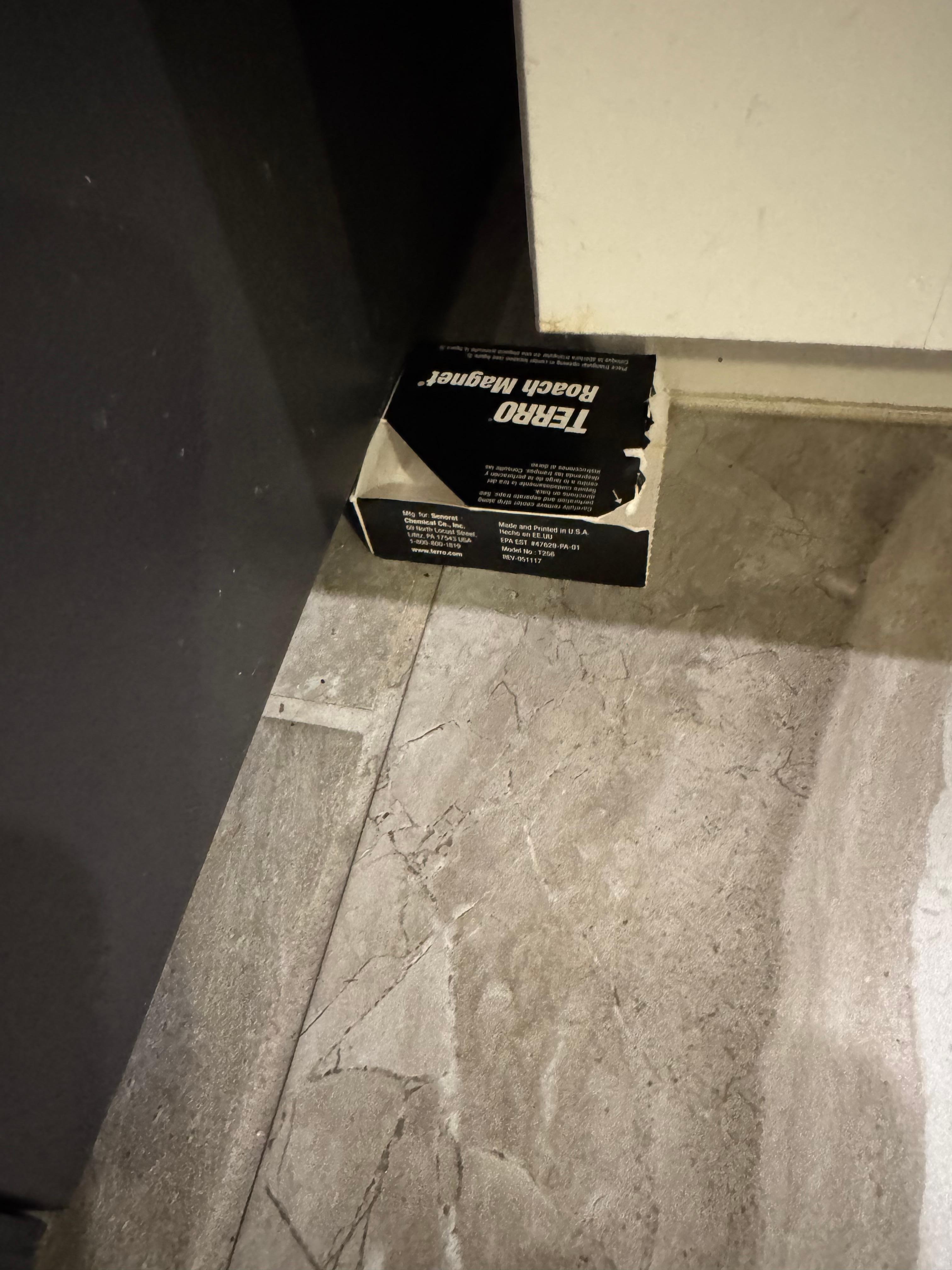 Roach feeces  in the silverware drawer 