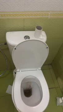 All 3 toilets were clogged and 2 were not even working!