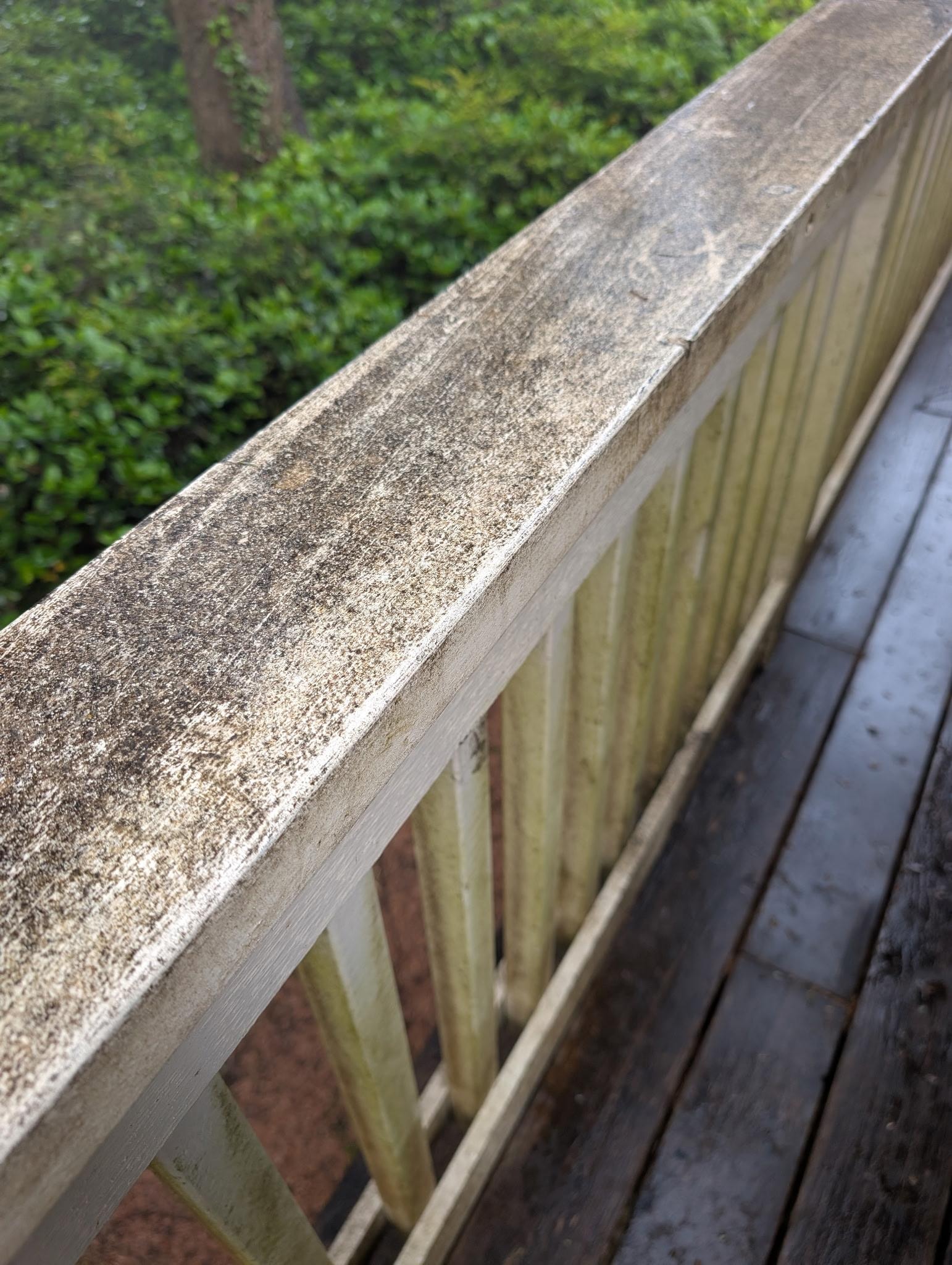 Cleaning needed throughout. 