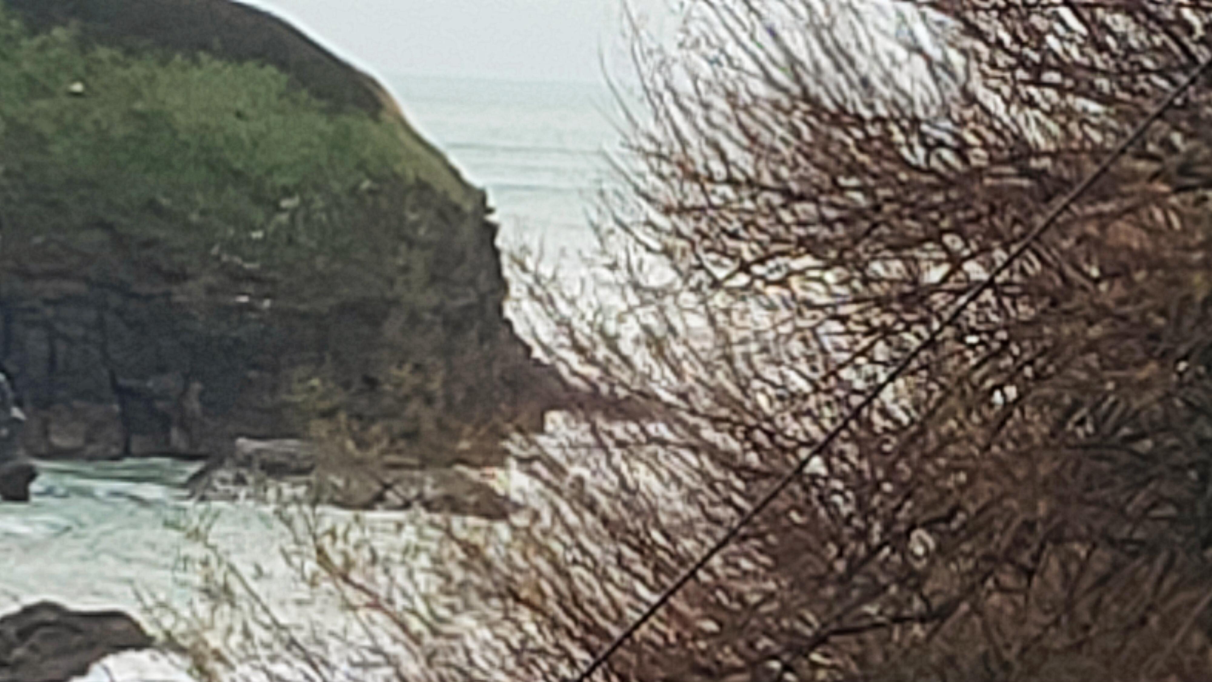 View from the window 