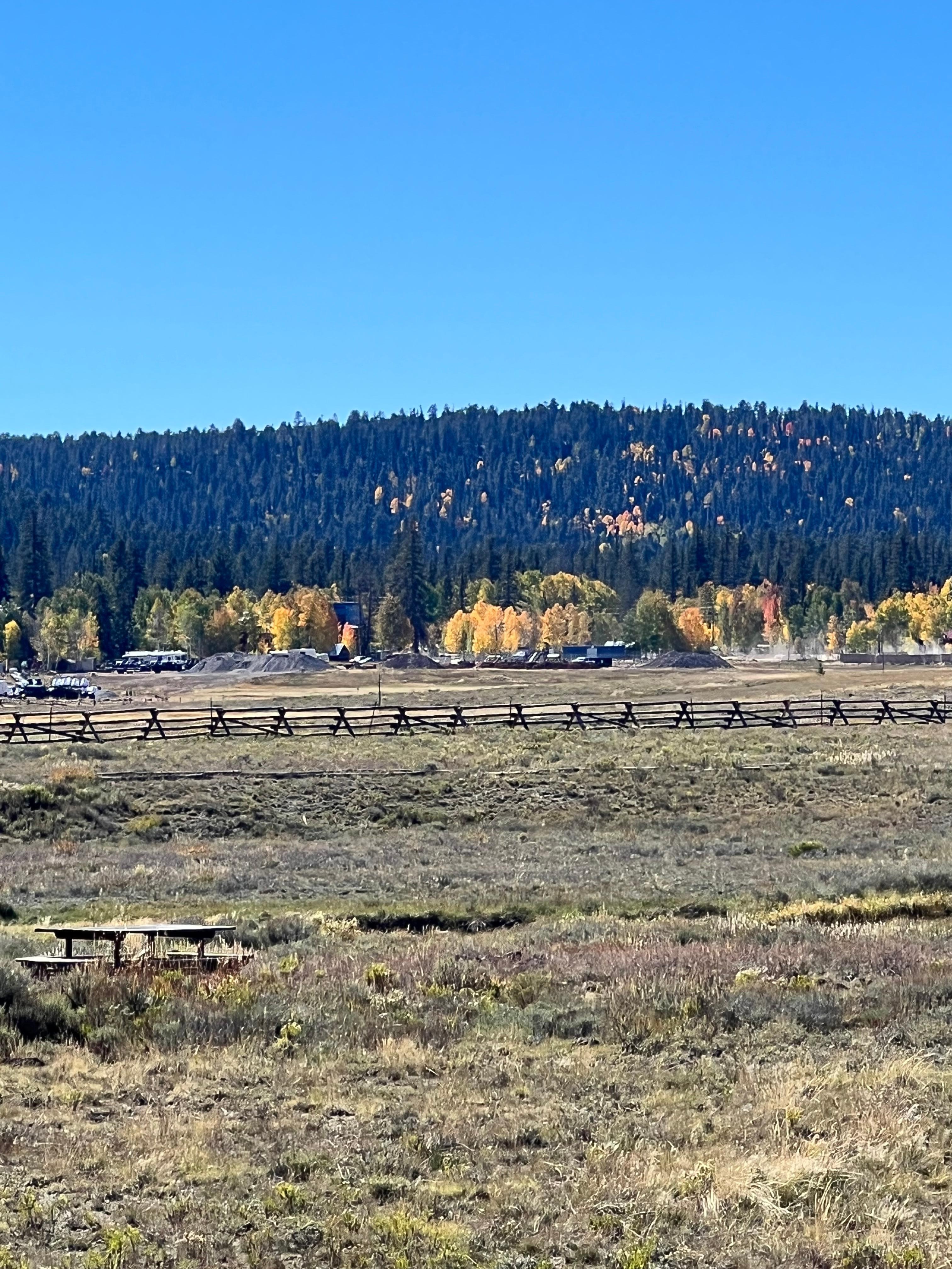 View off the back porch
